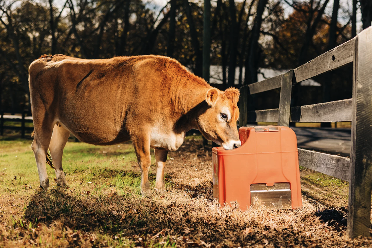 Tusker Single Electric Heated waterer, VS15E