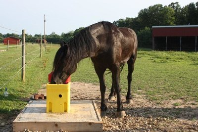 Ritchie Omni 1 #18359 - Heated Livestock Waterer